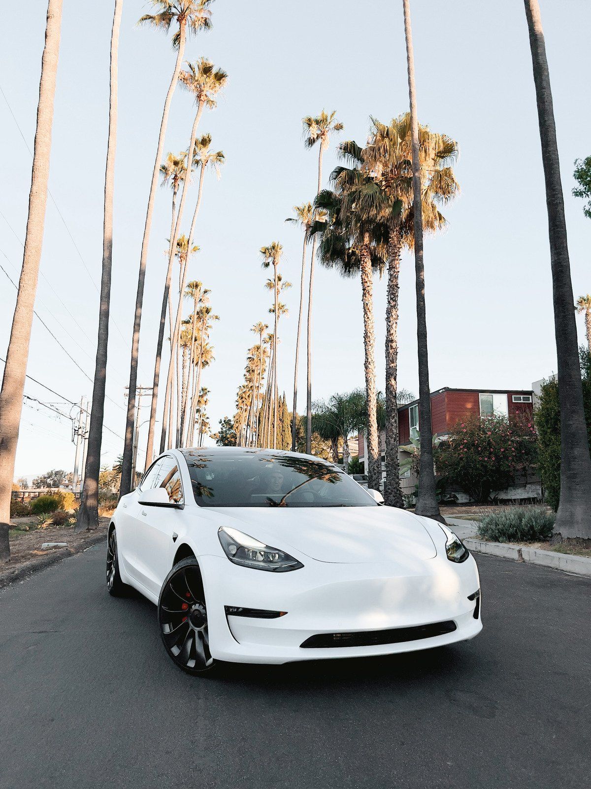 Ceramic Coating Banner