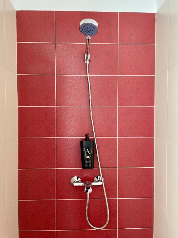 Shower with red tiled walls, chrome fixtures, and a black shampoo bottle.