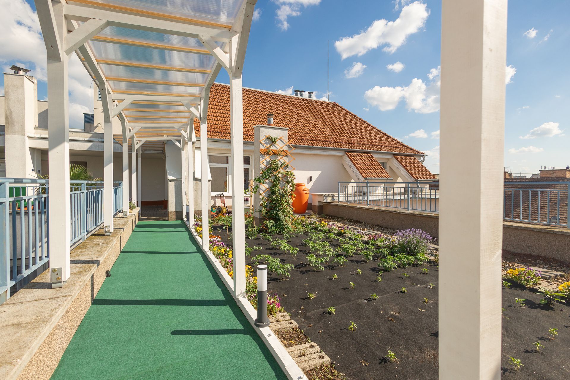 Rooftop garden with a covered walkway and plants. Sunny day with a blue sky.