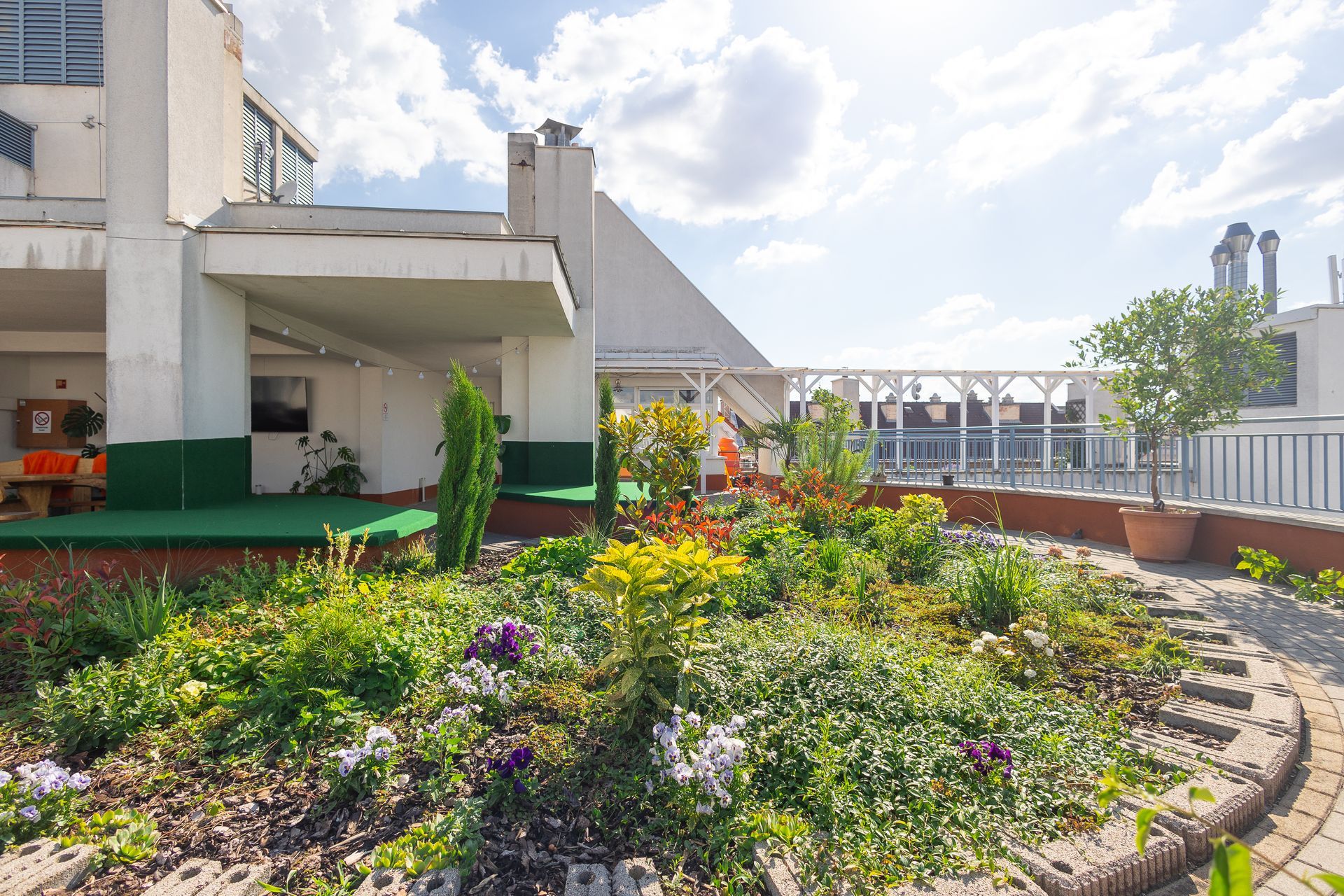 Rooftop garden with colorful flowers and shrubs, overlooking a city skyline on a sunny day.
