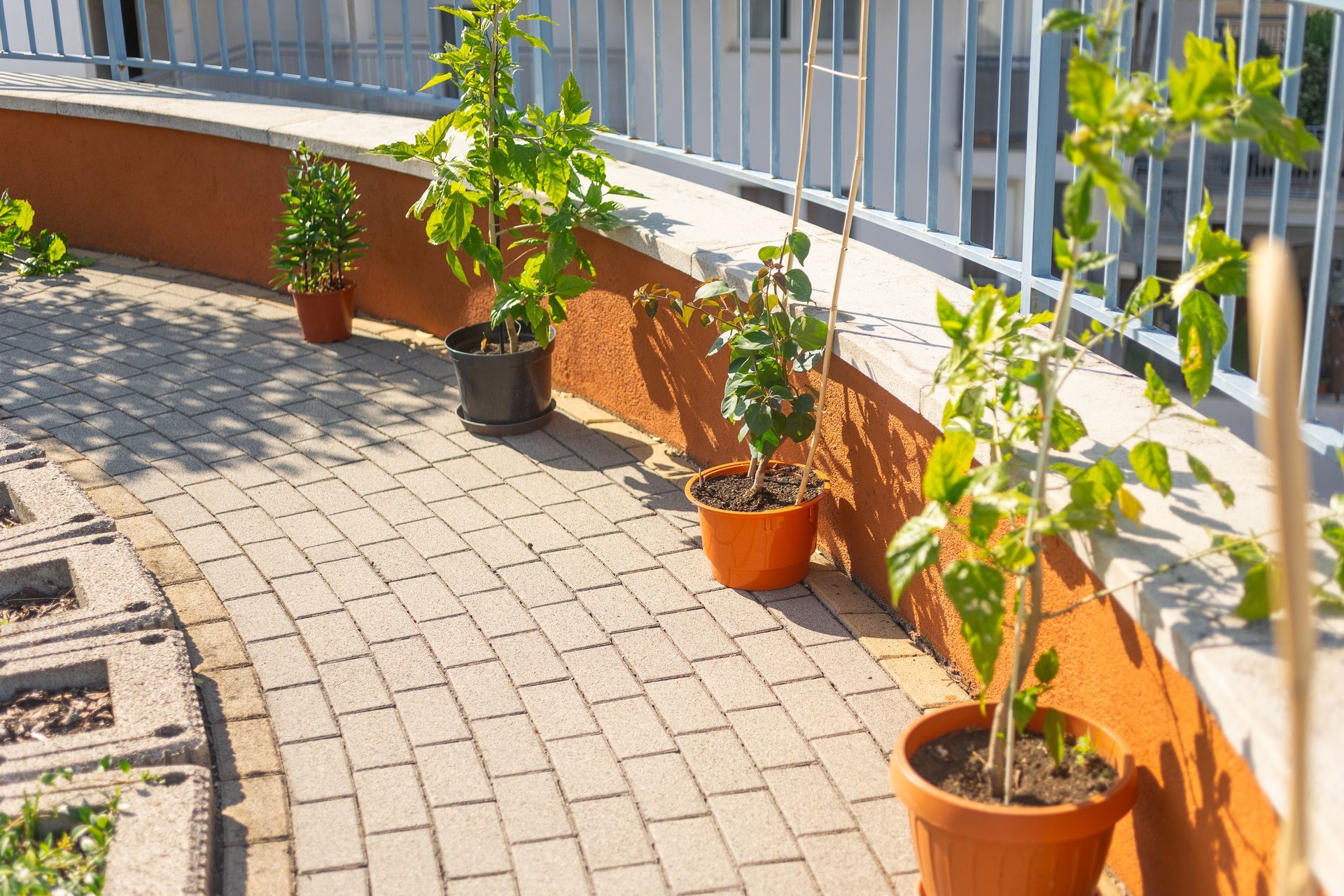 Potted plants on a brick patio with a curved, orange wall and a metal railing.