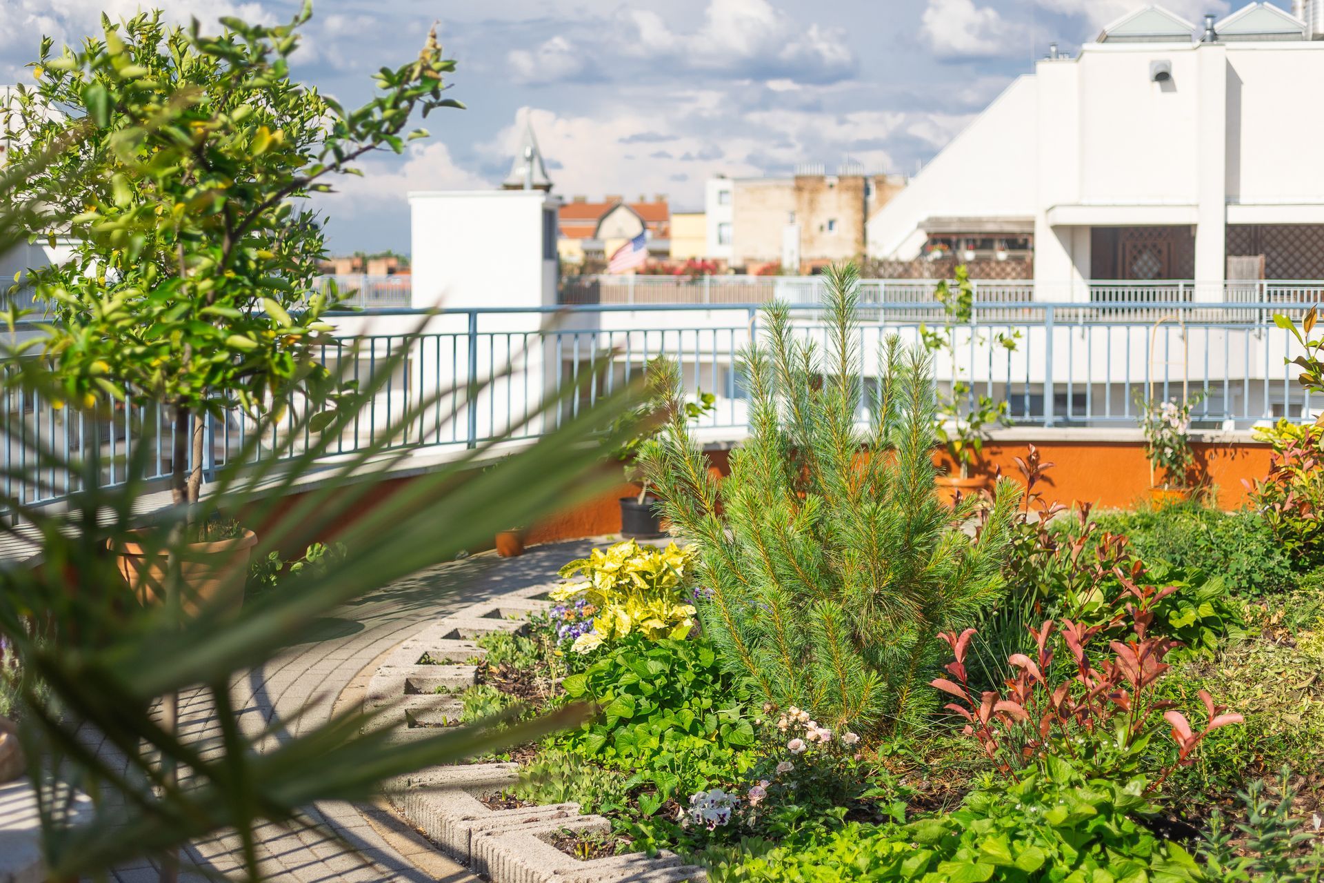Rooftop garden with lush plants and building in the background. Bright colors and sunny day.