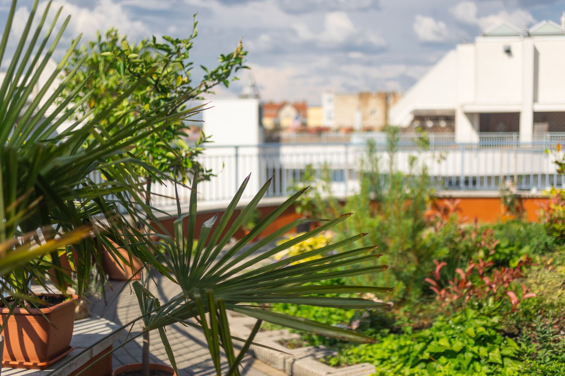 Rooftop garden with potted plants and greenery, overlooking buildings and a cloudy sky.