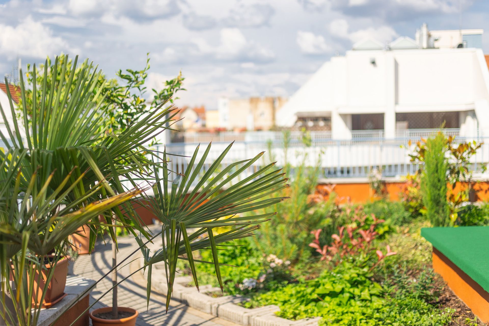 Rooftop garden with potted palms, various plants, and a white building with a terrace in the background under a cloudy sky.