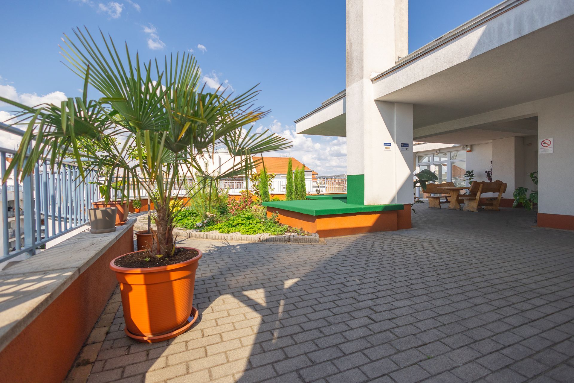 Rooftop patio with potted palm tree, brick pavers, seating, and a view of buildings against a blue sky.