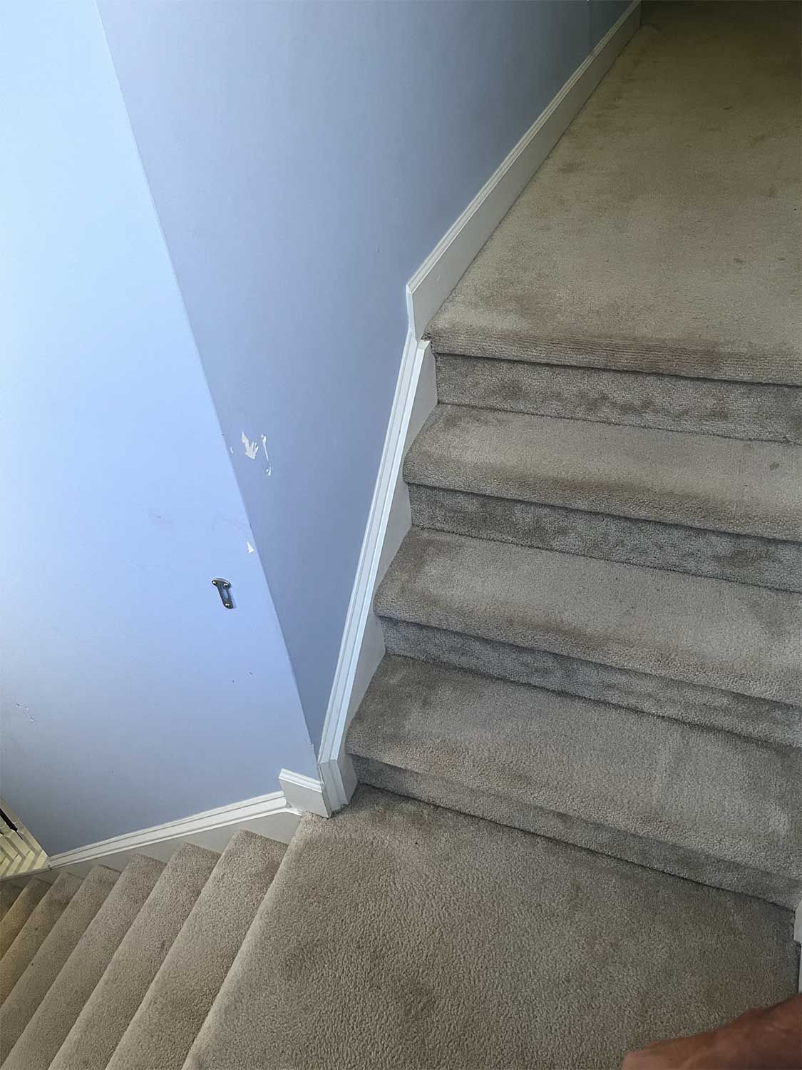 before flooring services 