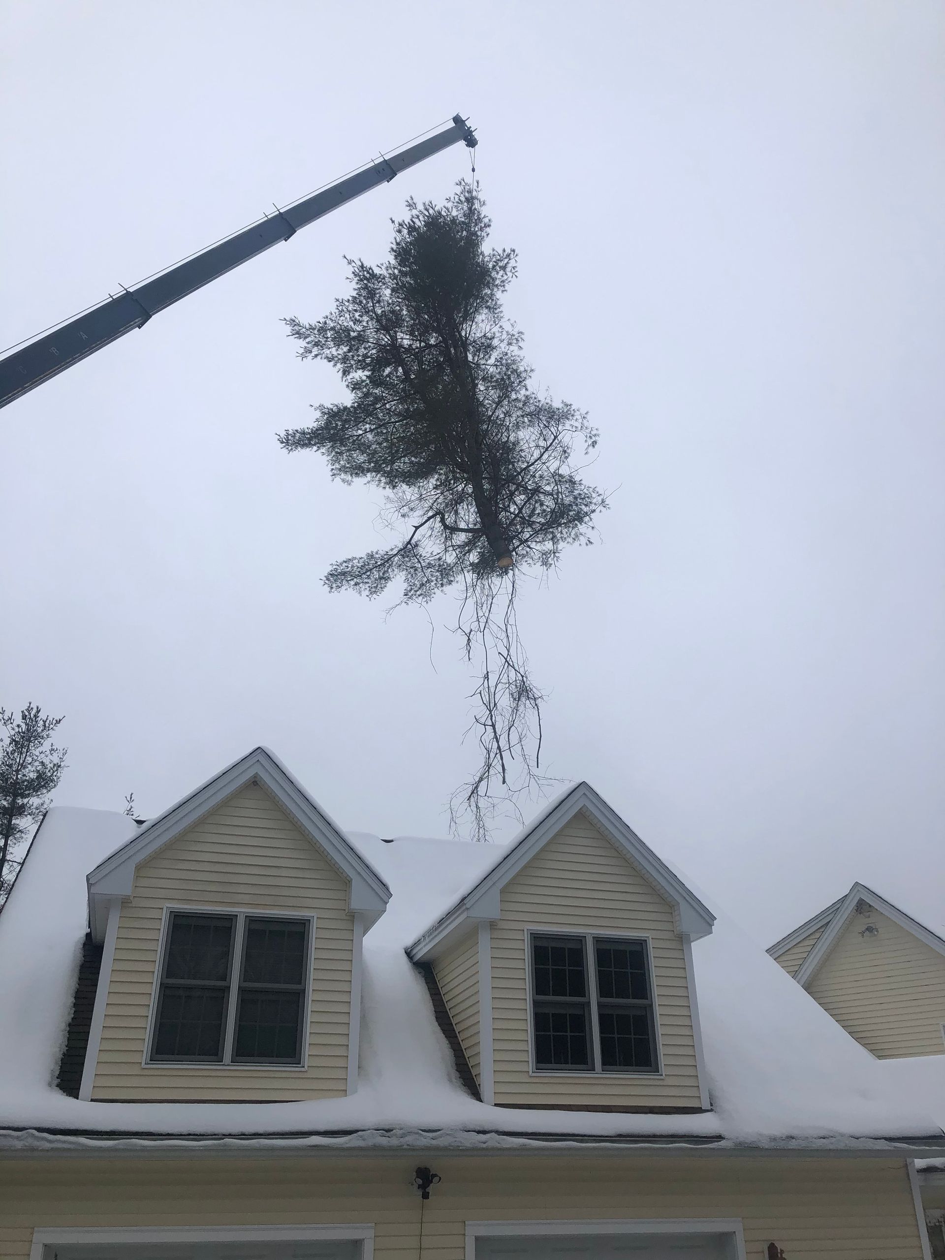 A crane lifting a tree above a snow-covered house with dormer windows on a cloudy day.
