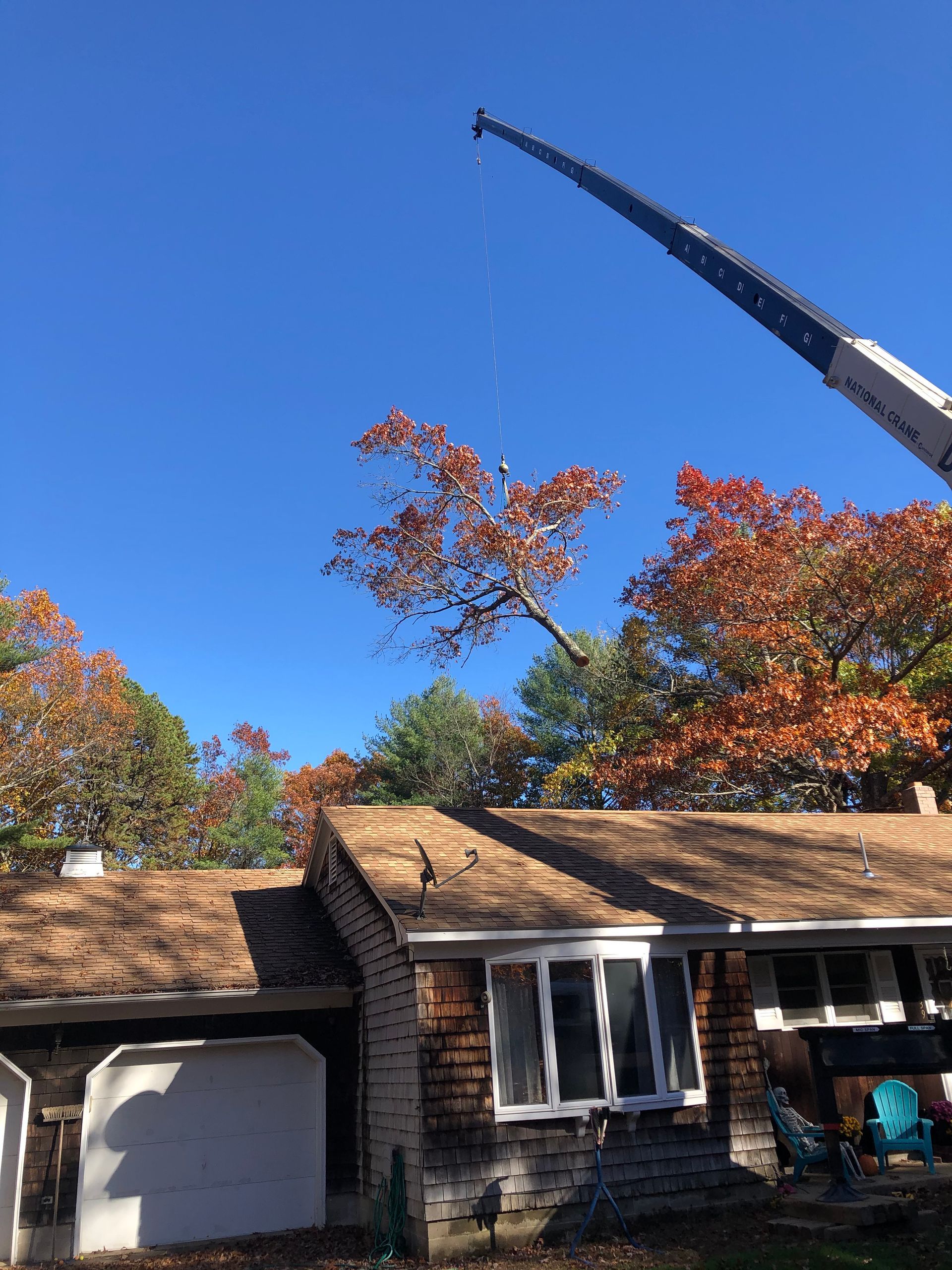 A crane cutting a tree branch over a house with a brown roof and colorful autumn leaves.
