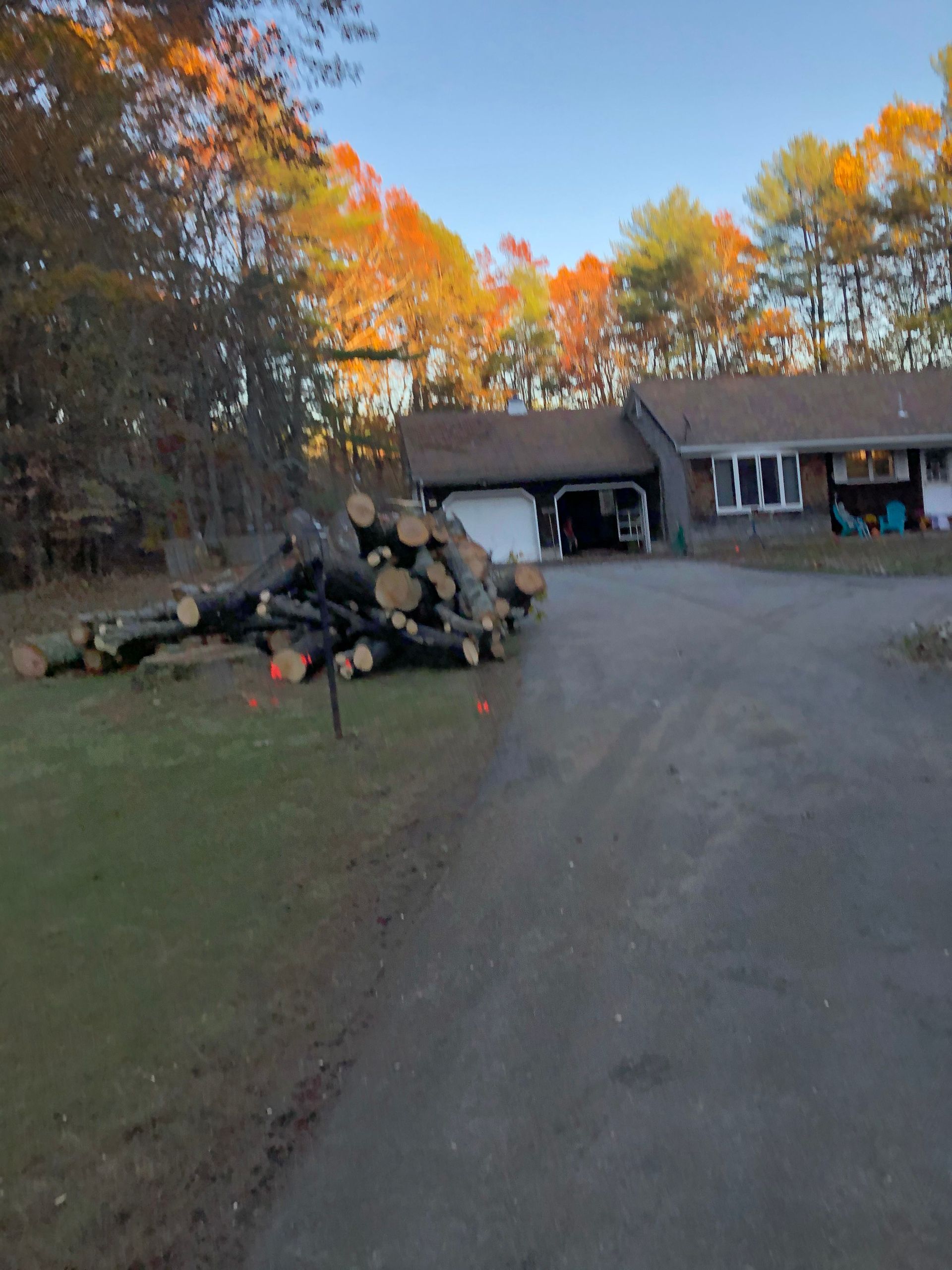 Pile of logs on grass next to a driveway leading to a house, autumn trees in the background.