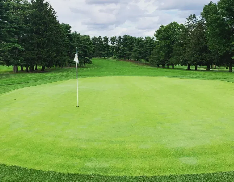 Golf putting green with a flagstick surrounded by trees under a cloudy sky