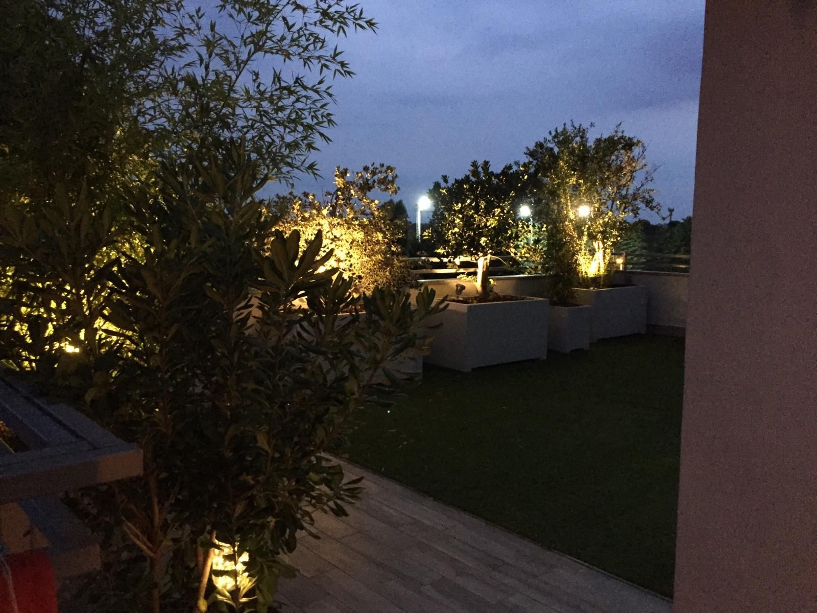 Giardino pensile al tramonto, alberi illuminati nelle fioriere, cielo scuro.