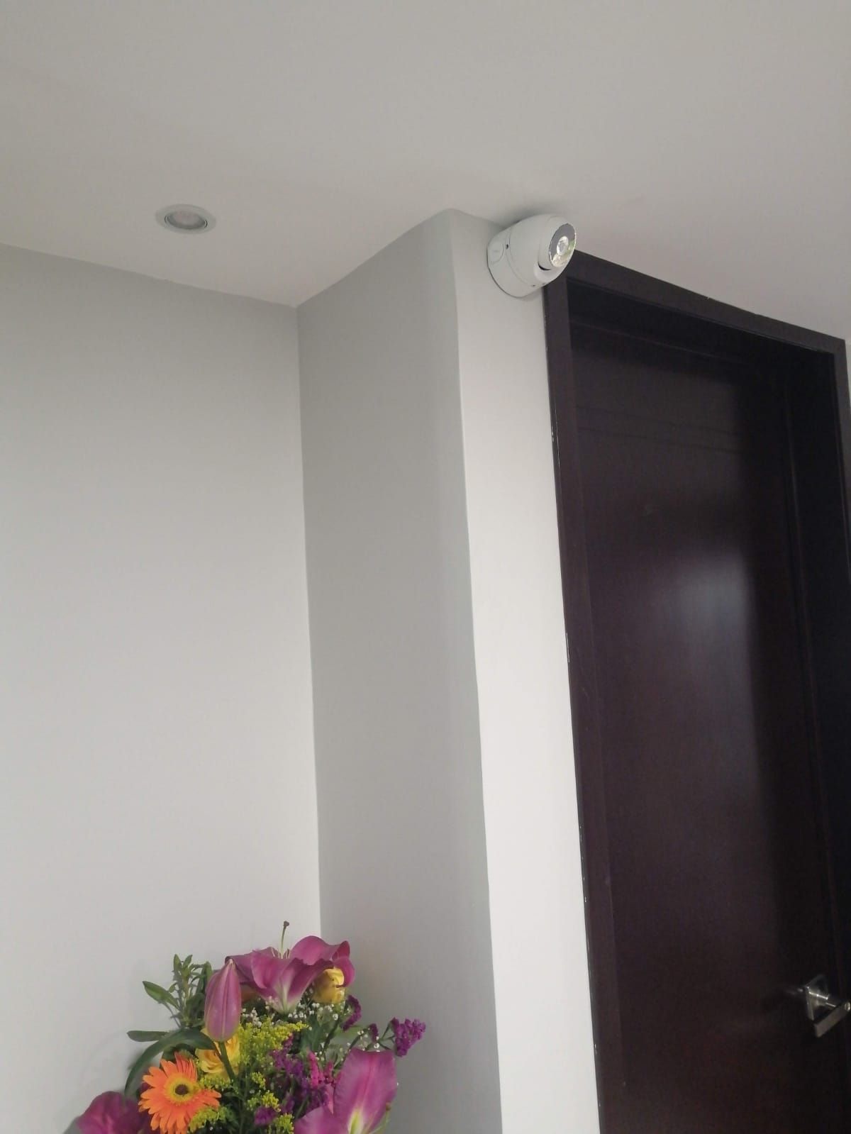 Cámara de seguridad montada en una pared blanca cerca de una puerta marrón oscuro. Flores en primer plano.