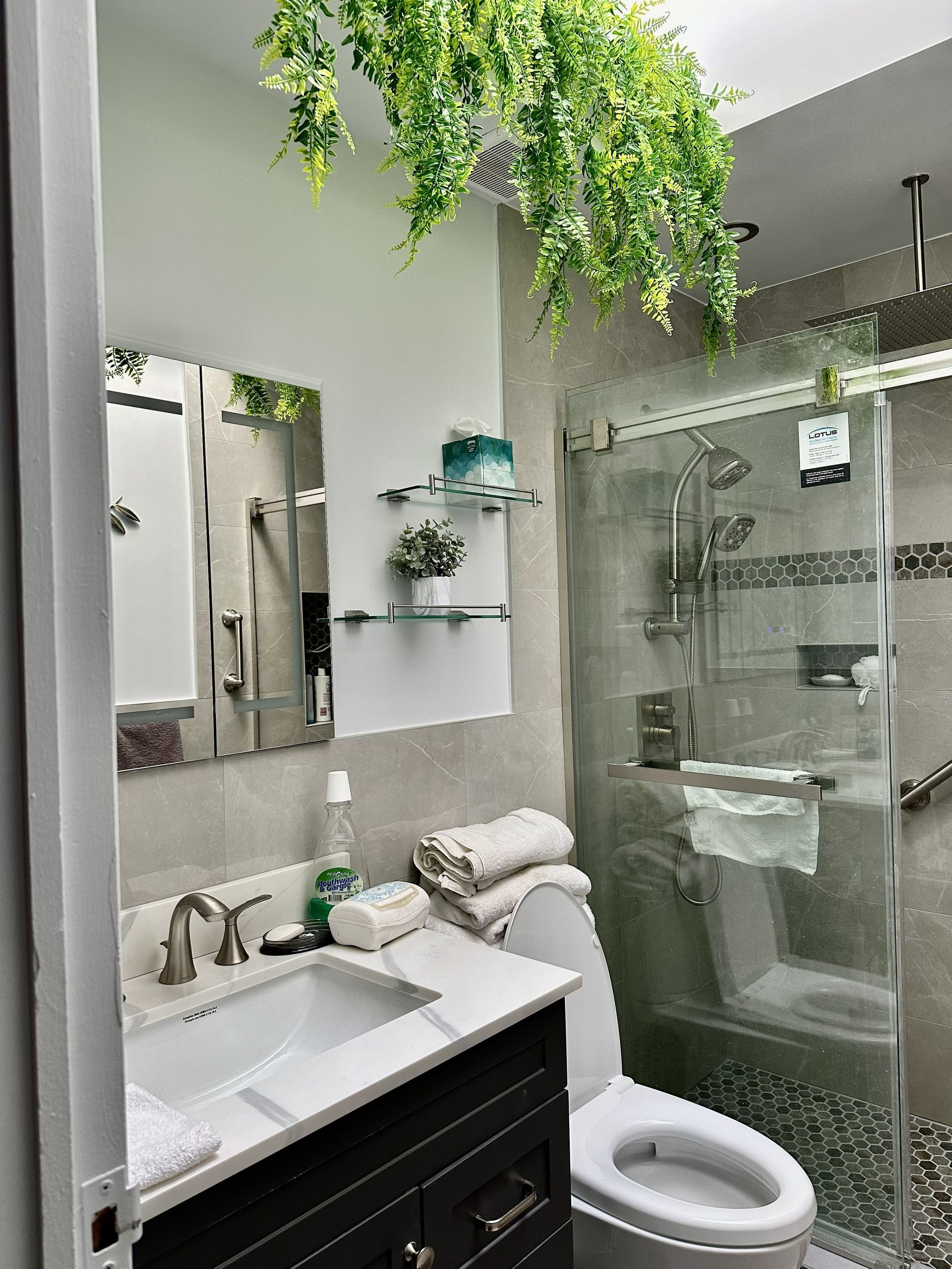 Modern bathroom with vanity, shower, toilet, and hanging greenery