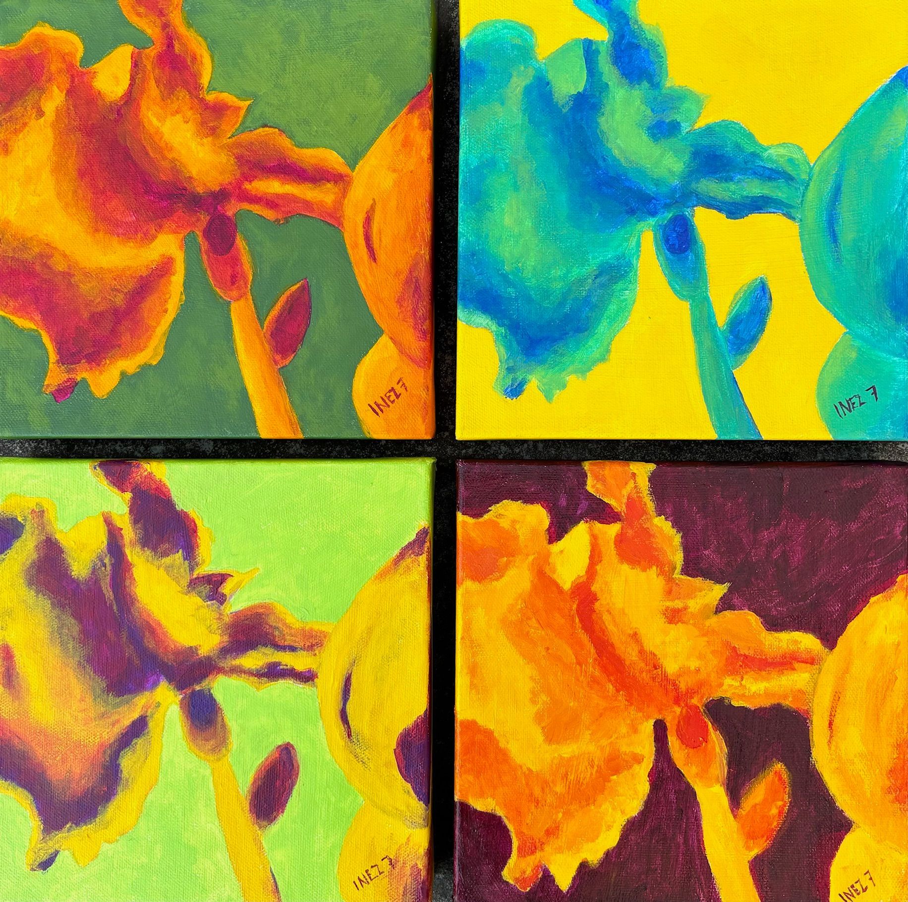 iris