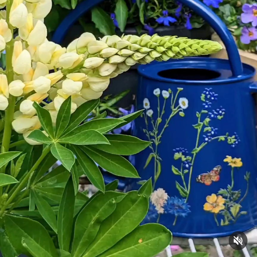 Home & Garden Gift Shop, Lake District The Orchid House