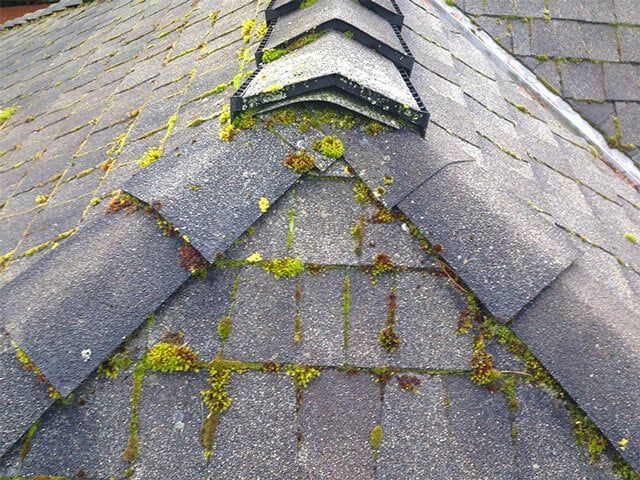 A close up of a roof with moss growing on it.