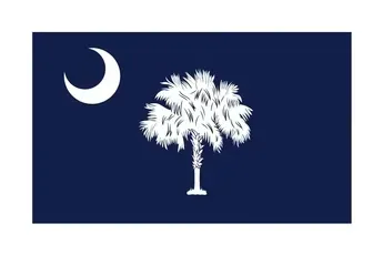 10' x 15' South Carolina Flag