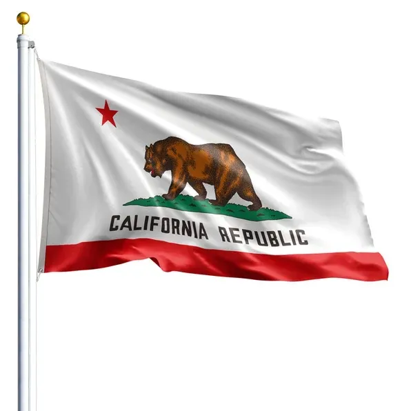 10' x 15' California Flag