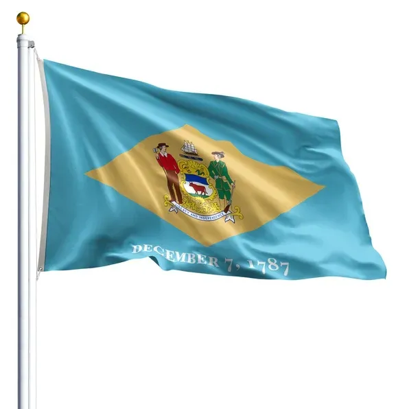 10' x 15' Delaware Flag