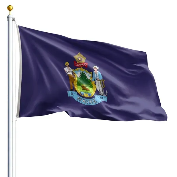 10' x 15' Maine Flag