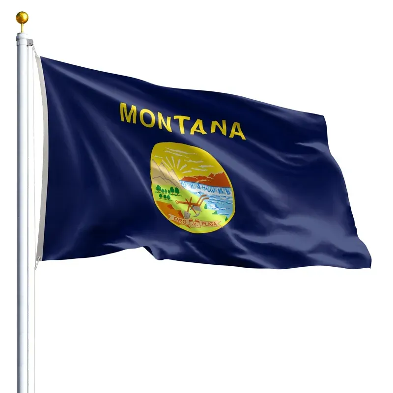 10' x 15' Montana Flag