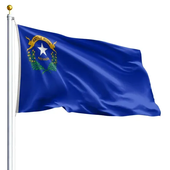 10' x 15' Nevada Flag