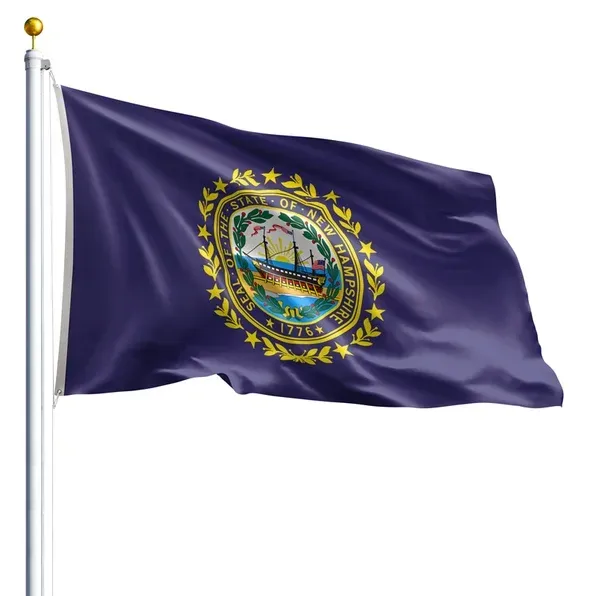 10' x 15' New Hampshire Flag