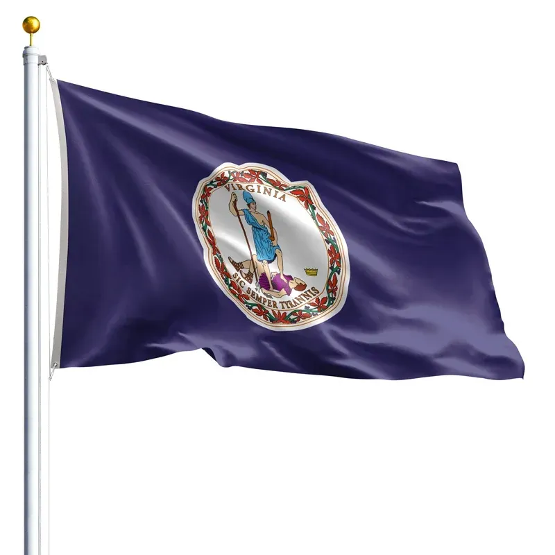 10' x 15' Virginia Flag