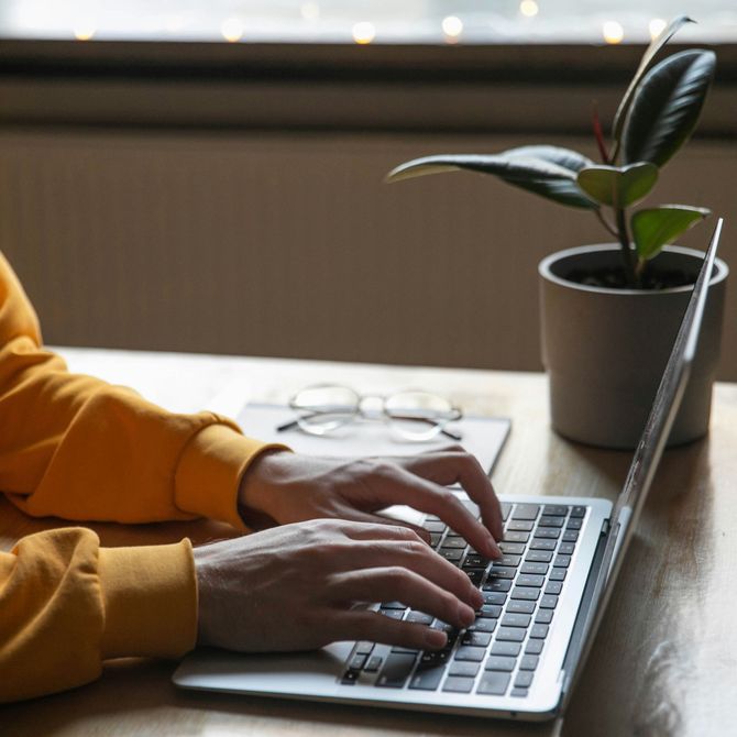 Person typing on a laptop at a desk beside glasses and a potted plant