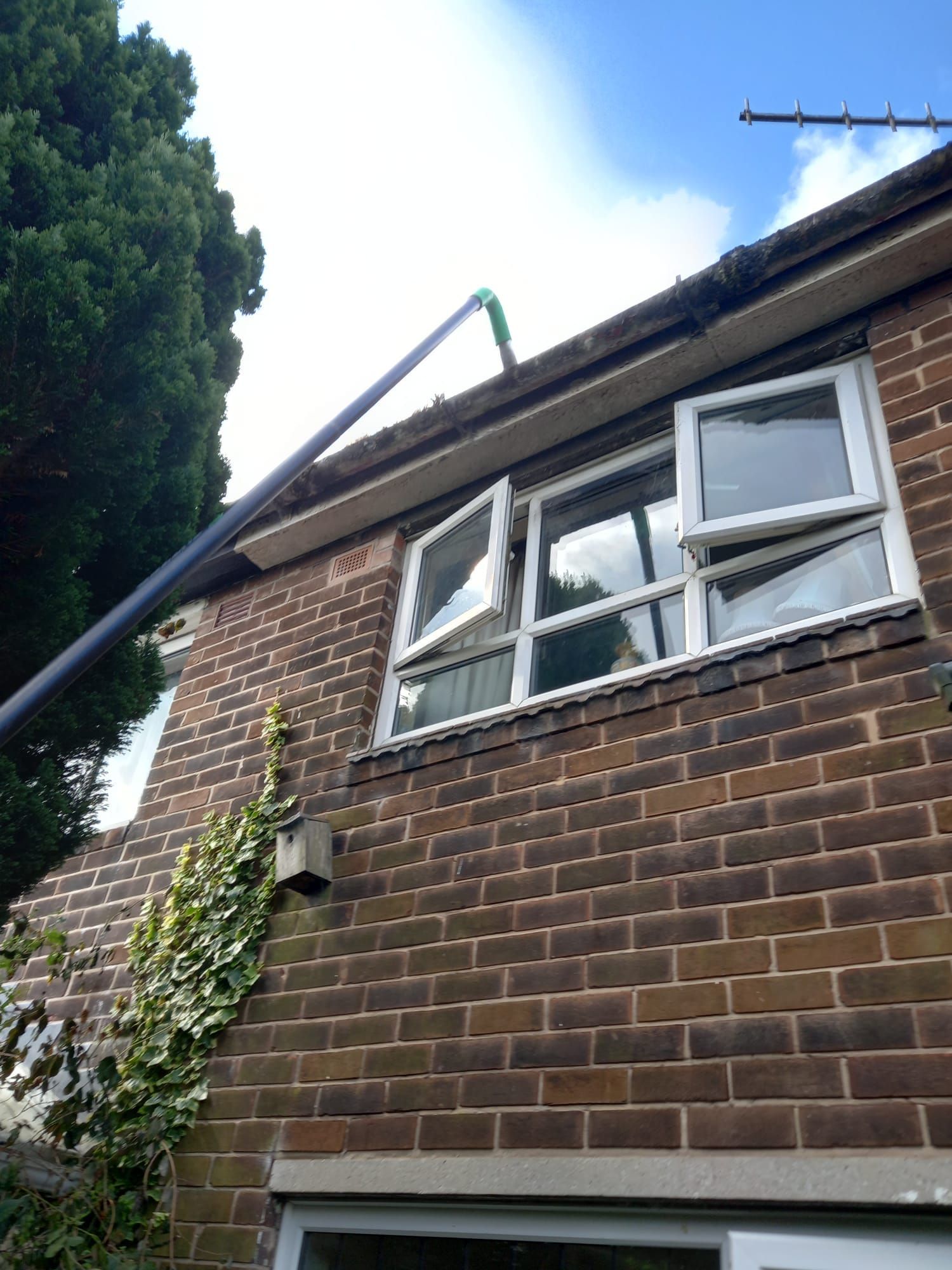 gutter cleaning