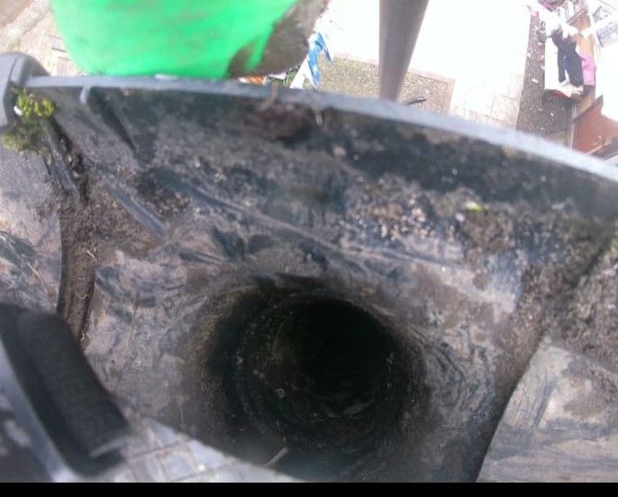 ball removed from the gutter