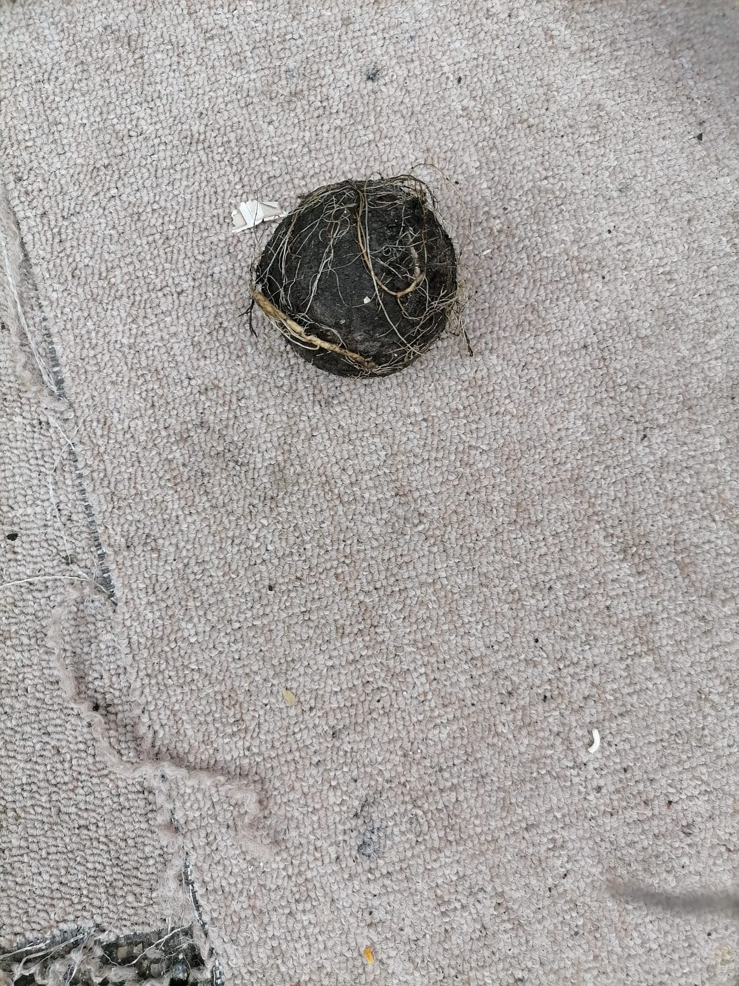 this caused this blocked gutter