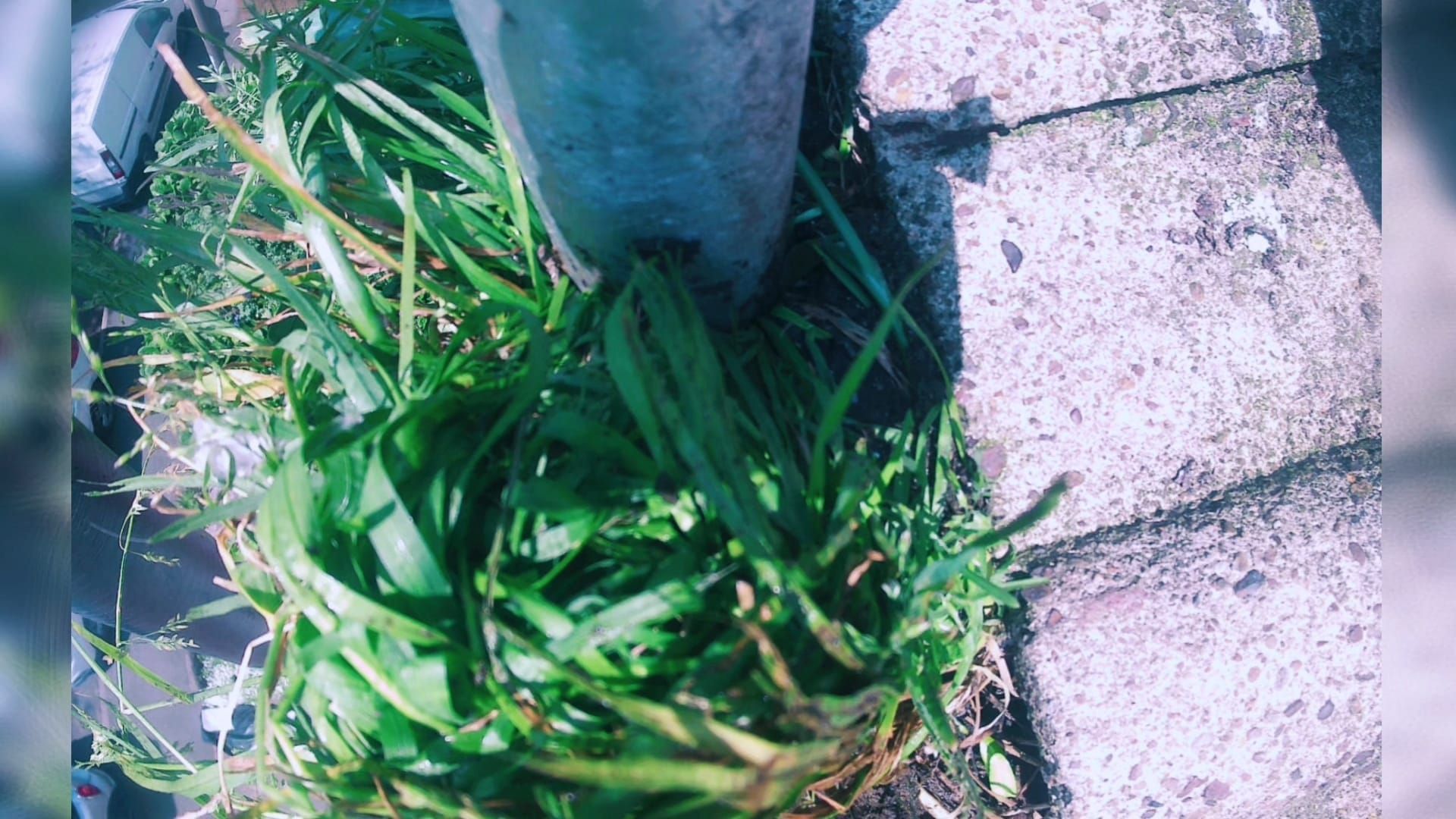 blocked gutter
