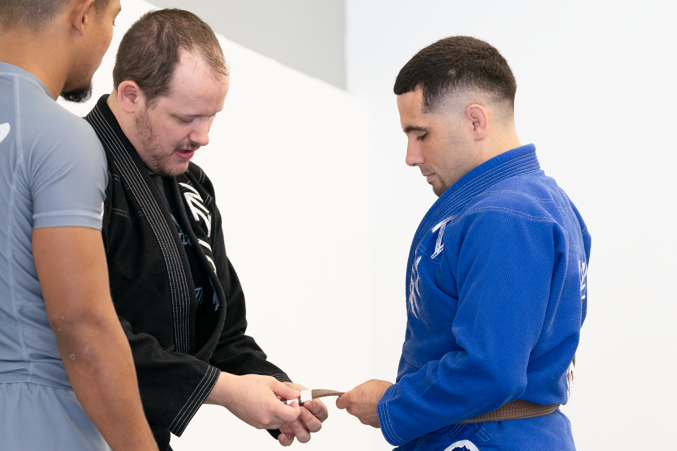 All In Jiu-Jitsu