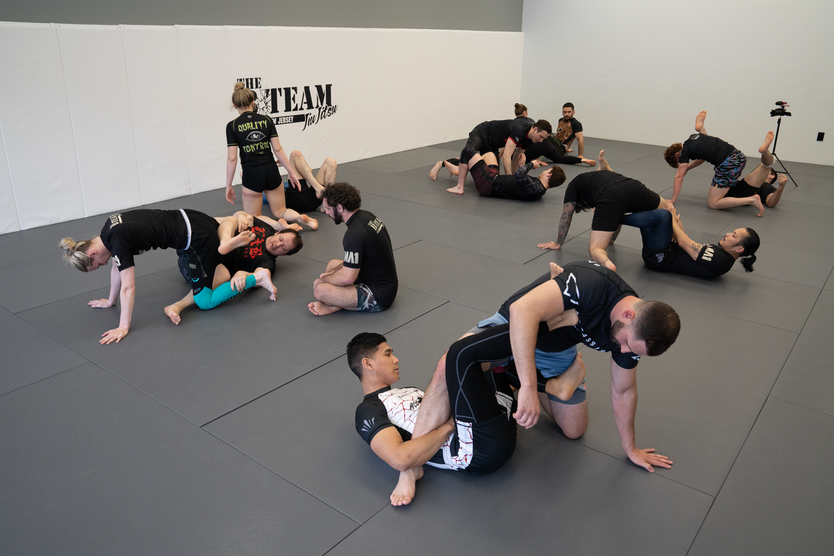 Adults drilling Brazilian Jiu-Jitsu techniques at All in Jiu-Jitsu in Green Brook, NJ.