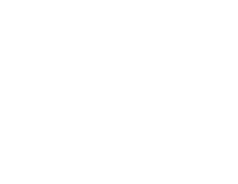 All In Jiu-Jitsu Logo