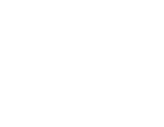 All In Jiu-Jitsu Logo