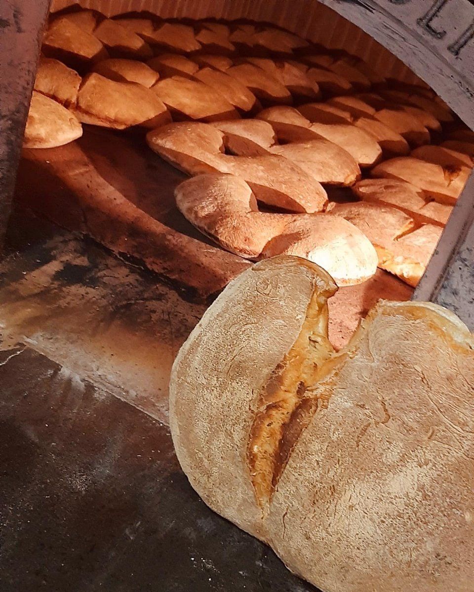 Pane