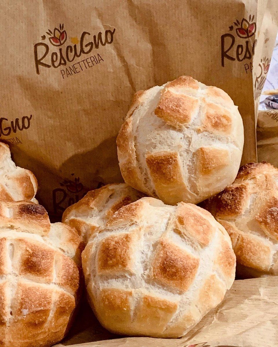 Paninetti tartaruga