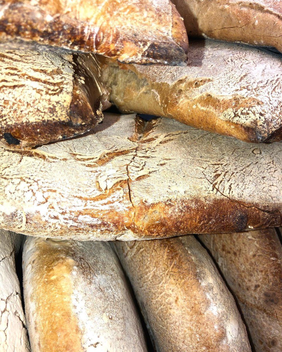 Pane fresco