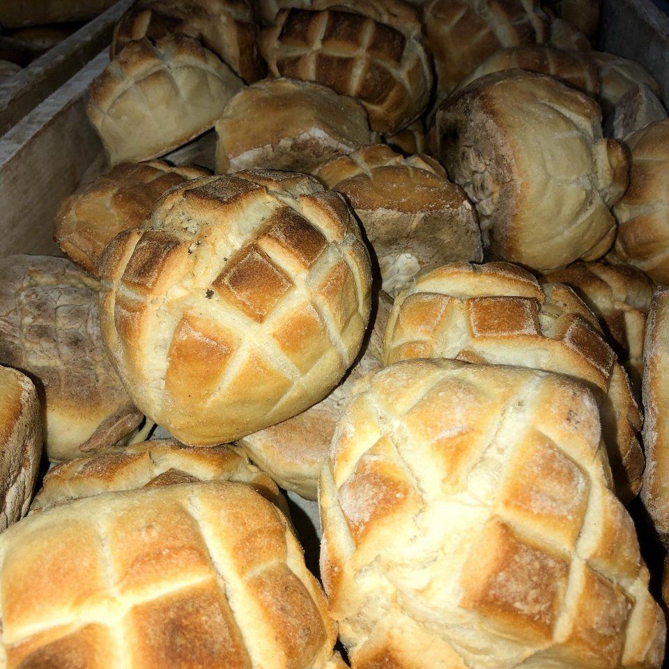 Paninetti freschi