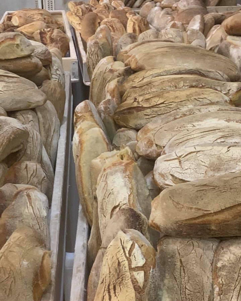 Pane