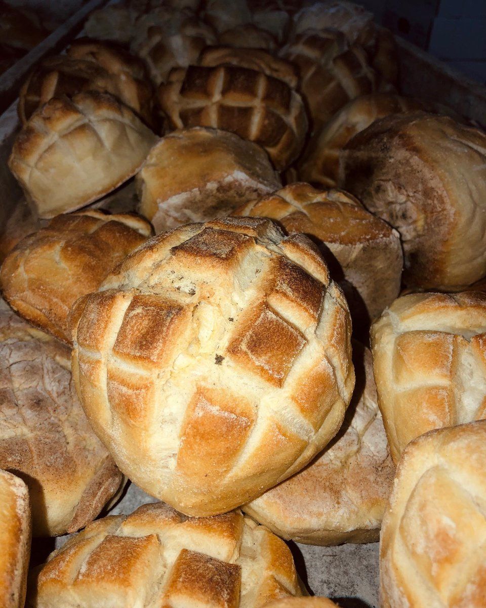 Paninetto tartaruga