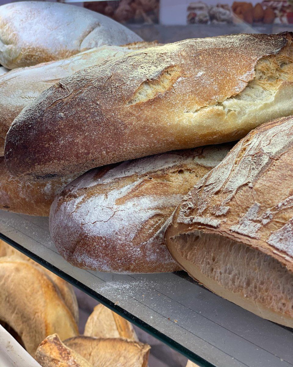 Pane