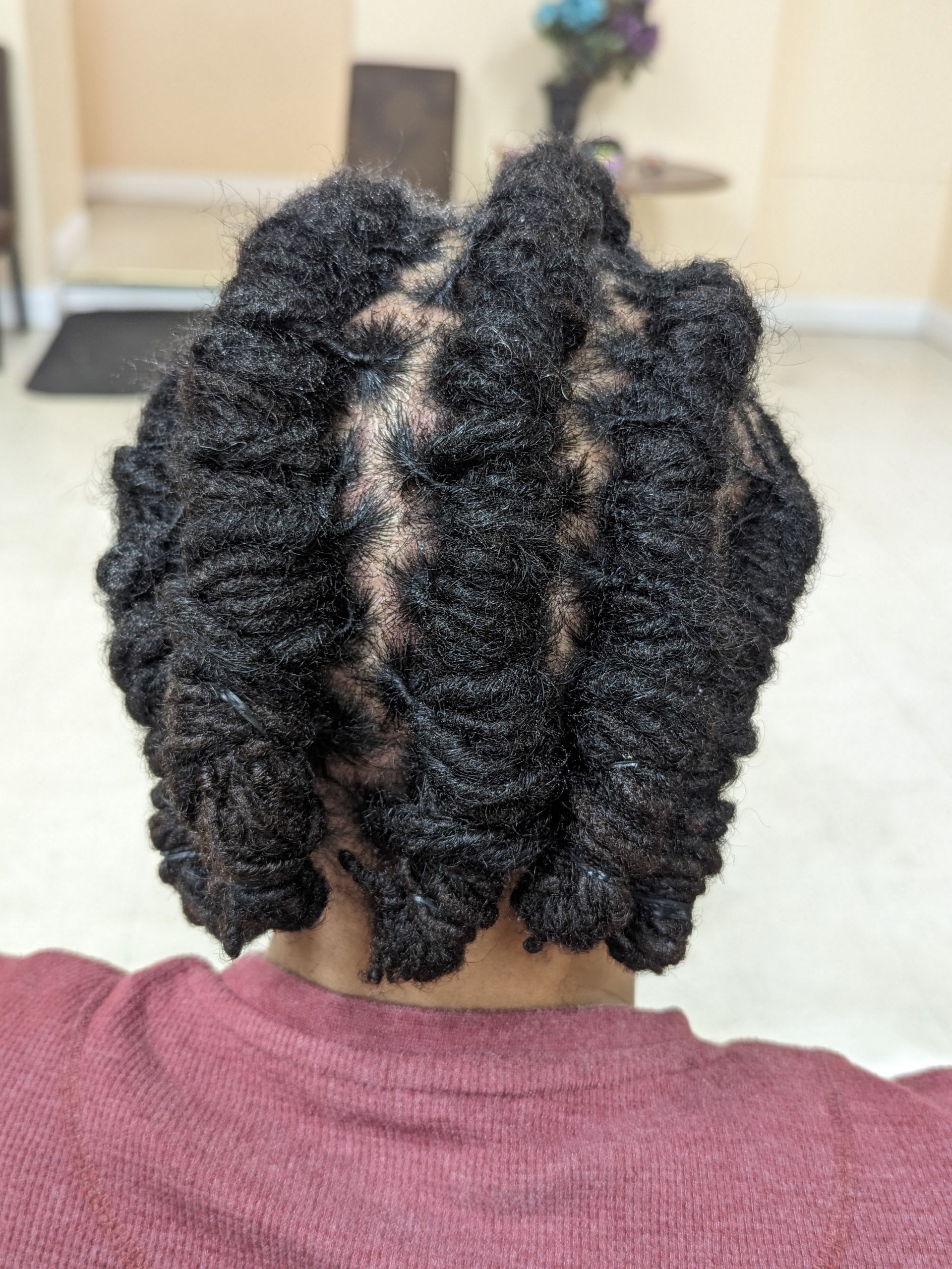 Back view of twisted black natural hair with defined sections on a maroon shirt