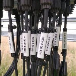 Identimark budget pvc carrier cable tags