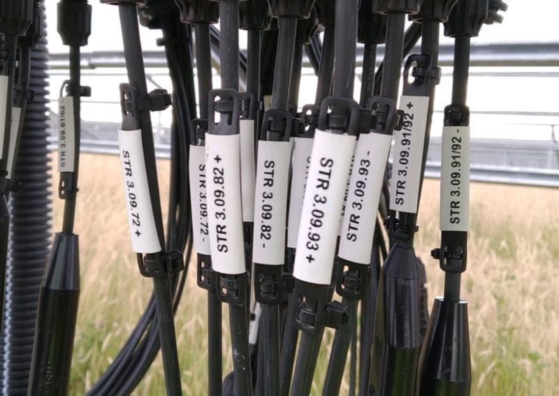 Budget white Tie-on cable labels printed by Identimark