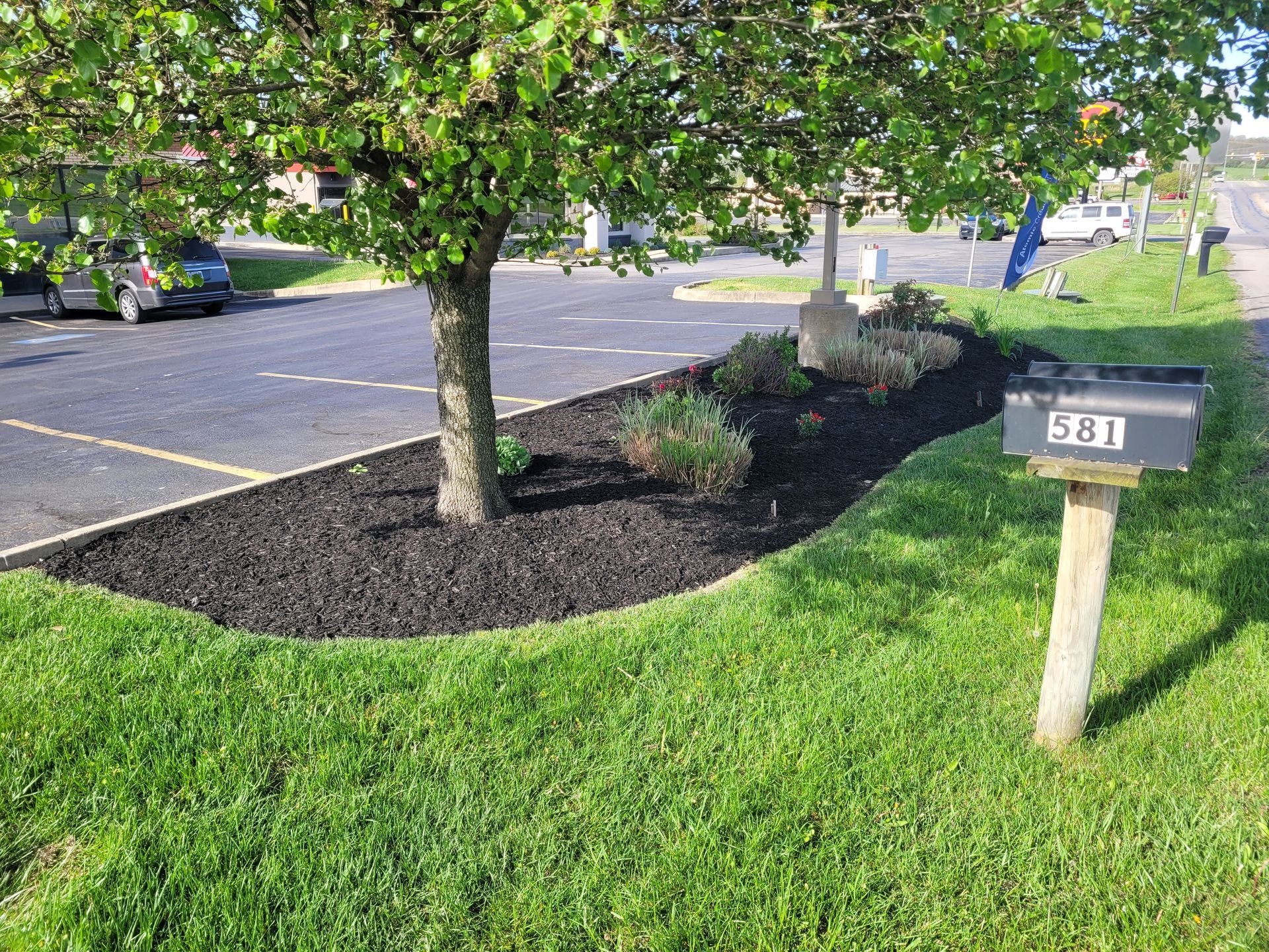 A mailbox labeled 581 stands in green grass next to a tree surrounded by a landscaped bed of fresh black mulch.