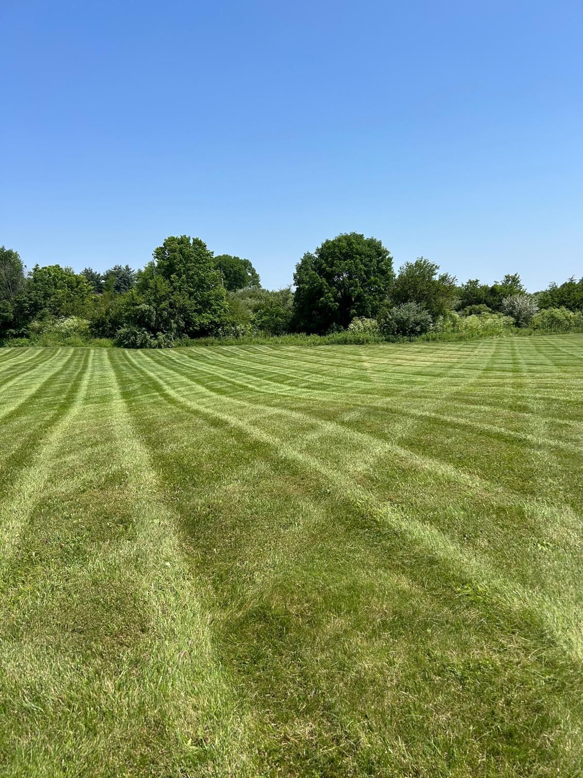 A bright green field under a clear blue sky, featuring distinctive, freshly mowed grass patterns and a distant tree line.
