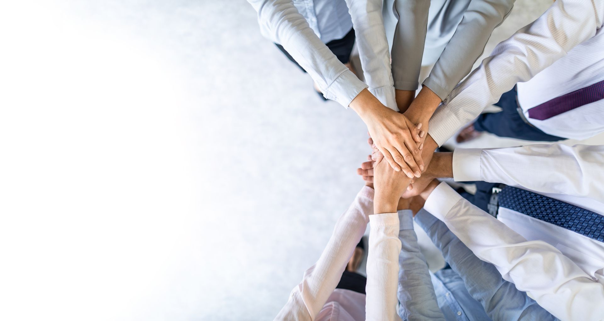 A group of business people are shaking hands in an office.